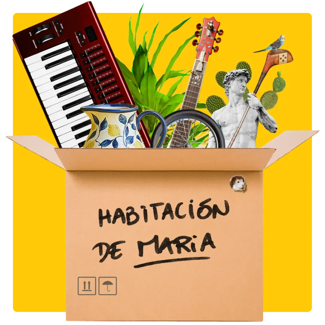 Mejor Equipo para enviar paquetes grandes