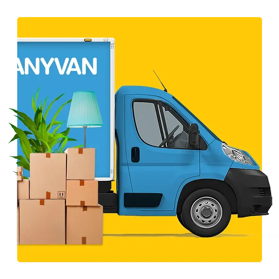Frame-3van-yellowbackground-900px.webp