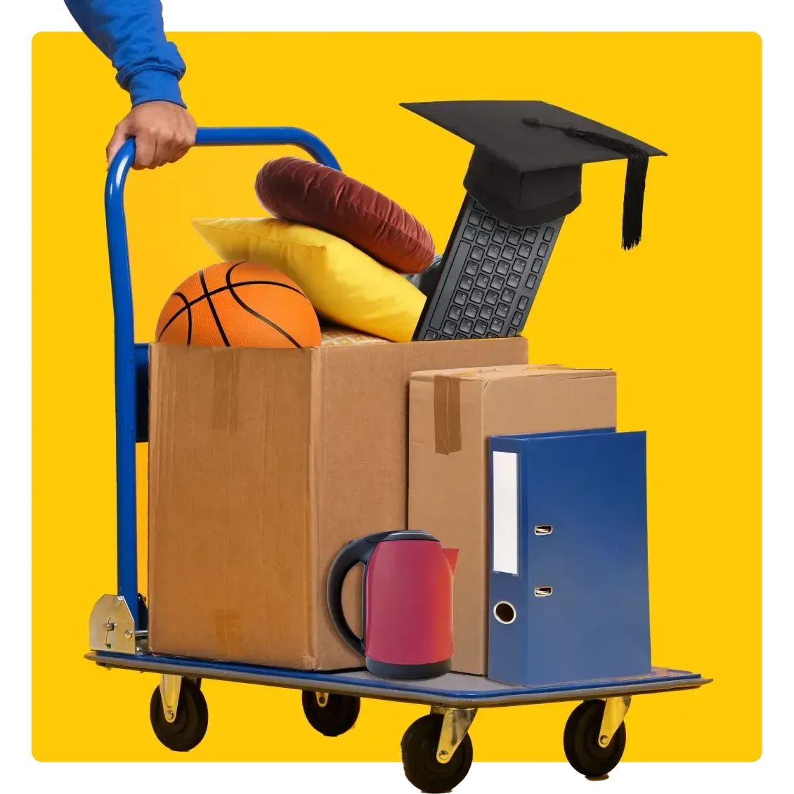 Image of a trolley showing items that students typical move, showing AnyVan